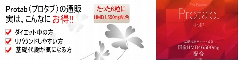 Protab�i�v���^�u�j���T�C�g